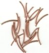 25 25x1.5mm Copper Plated Curved Tube Beads
